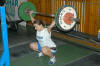 Trencin 2010