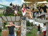 Trencin 2010